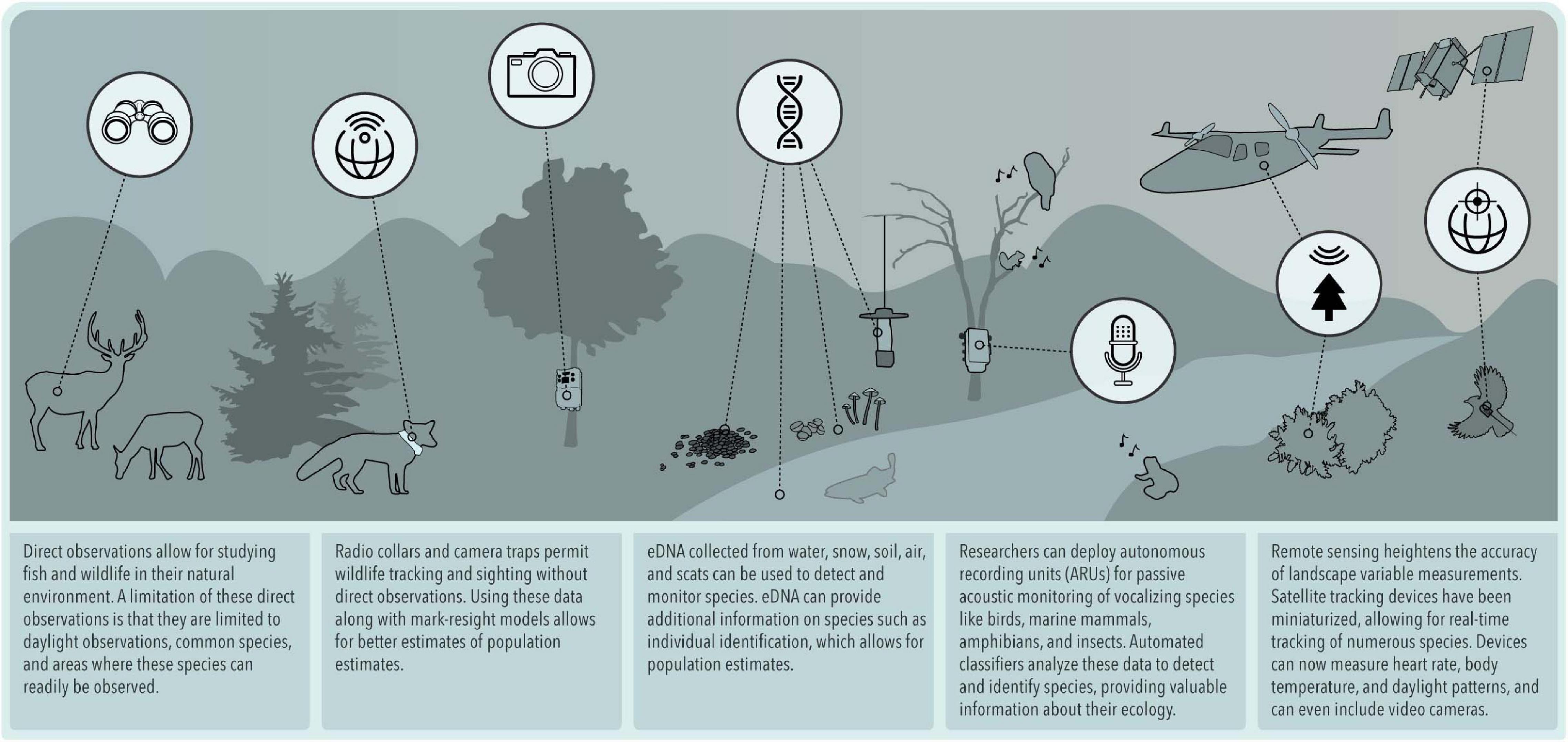 PDF) Estimating Population Size with Noninvasive Capture‐Mark‐Recapture Data