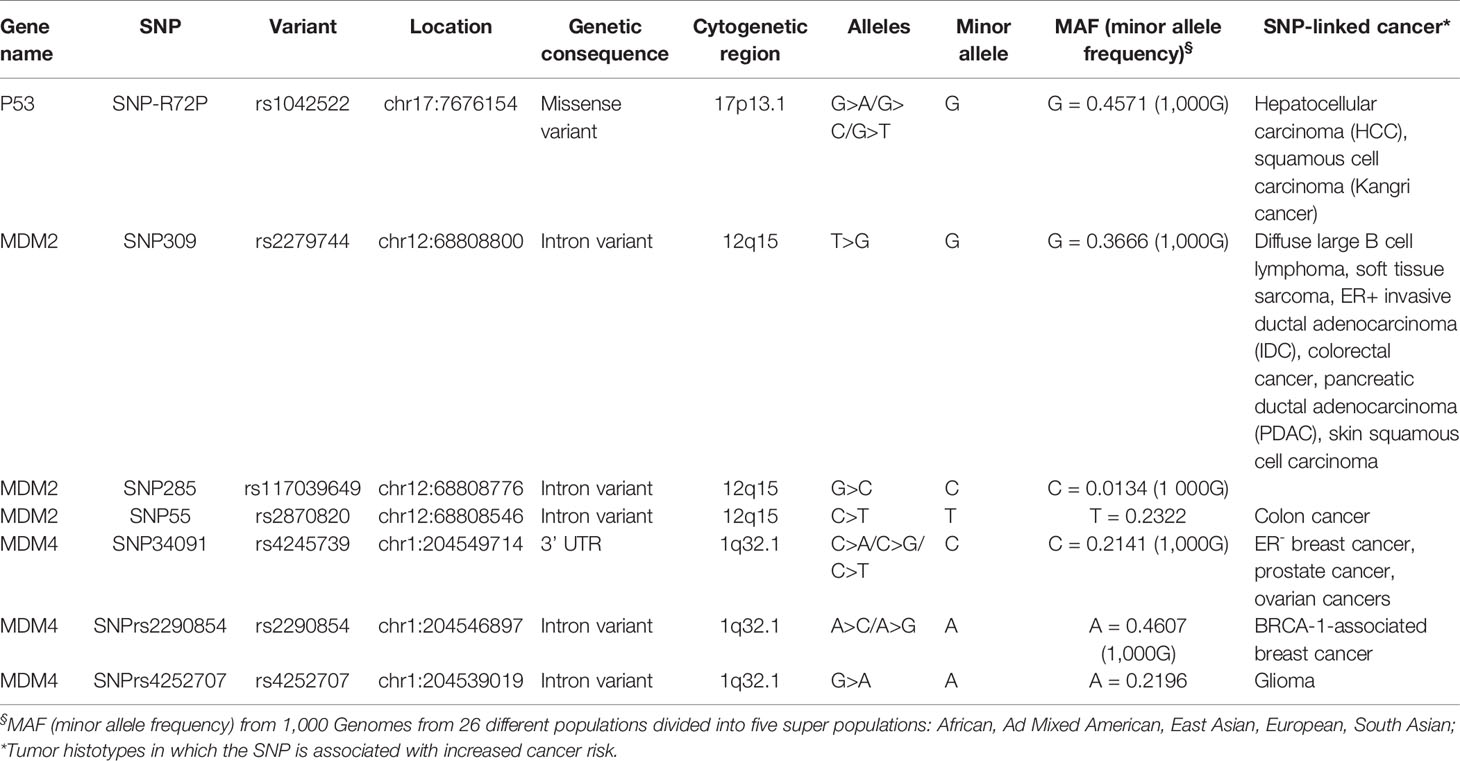 Frontiers | Role of Sex in the Therapeutic Targeting of p53 Circuitry