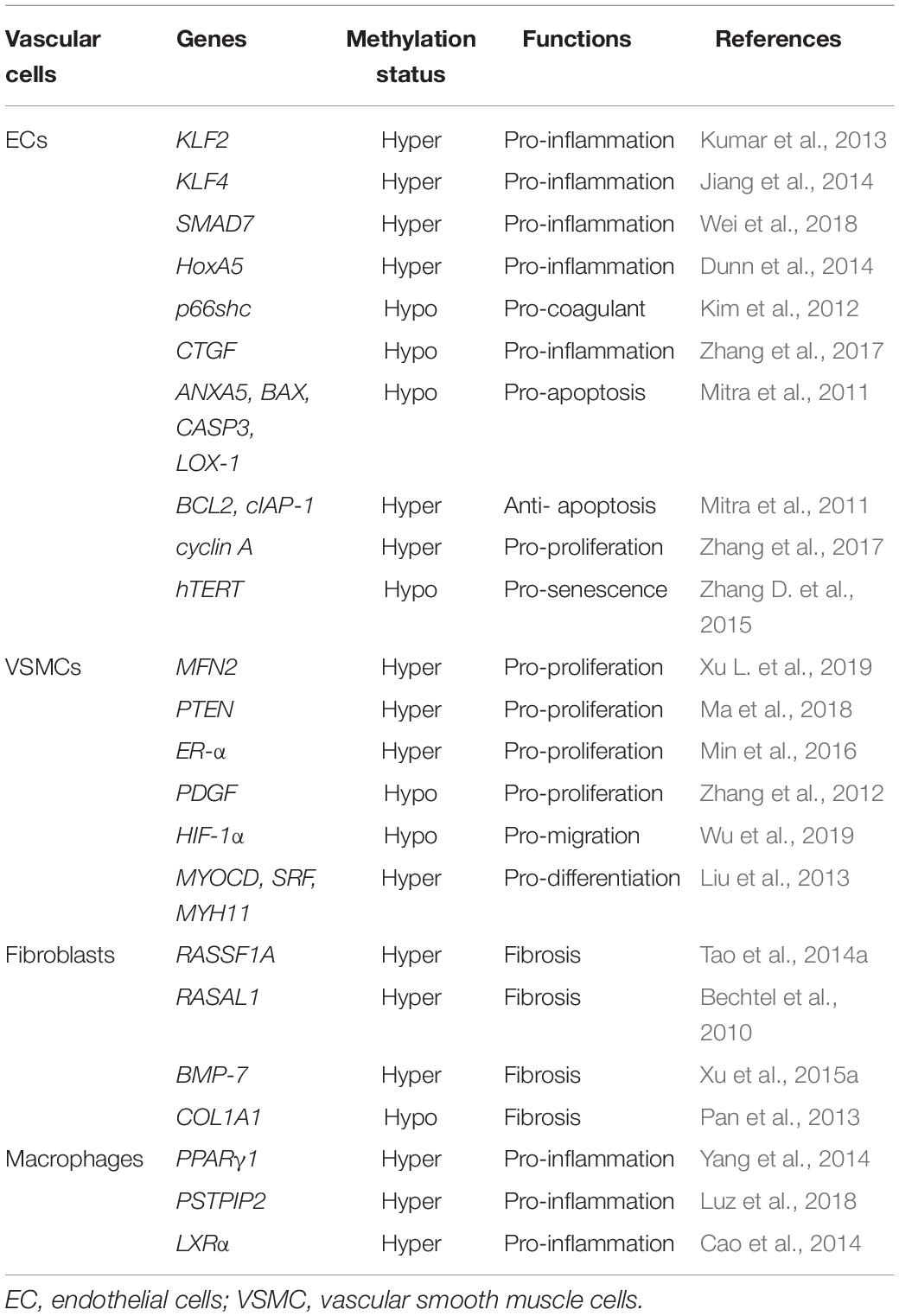 PDF) ZBTB12 DNA methylation is associated with coagulation- and