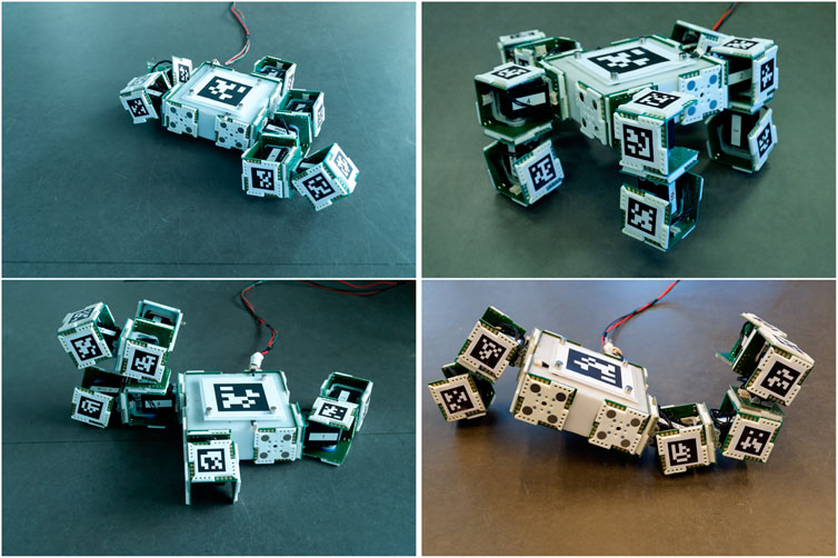 Frontiers | EMERGE Modular Robot: A for Deployment of Evolved Robots