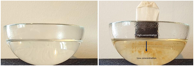 Figure 1 - When a teabag is placed into a bowl of hot water, the tea diffuses from an area of high concentration (the bag) into an area of lower concentration (the water).