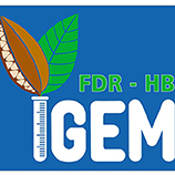 FDR-HB_Peru iGEM Team