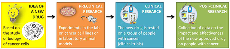 Figure 1 - Stages of anti-cancer drug development.