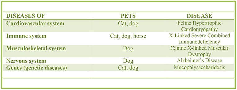 Figure 3 - Did you know that there are a lot of other diseases that animals develop, besides cancer, and that these can help researchers study human diseases?