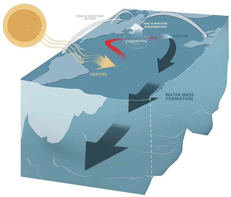 Figure 2 - Heat circulation in the North Atlantic.