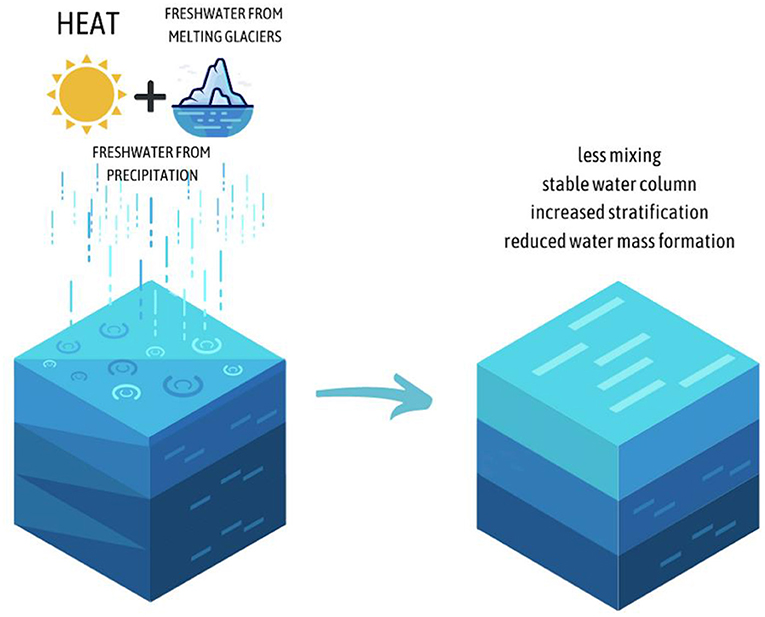 Figure 1 - Ocean stratification is the separation of water into layers based on its density.