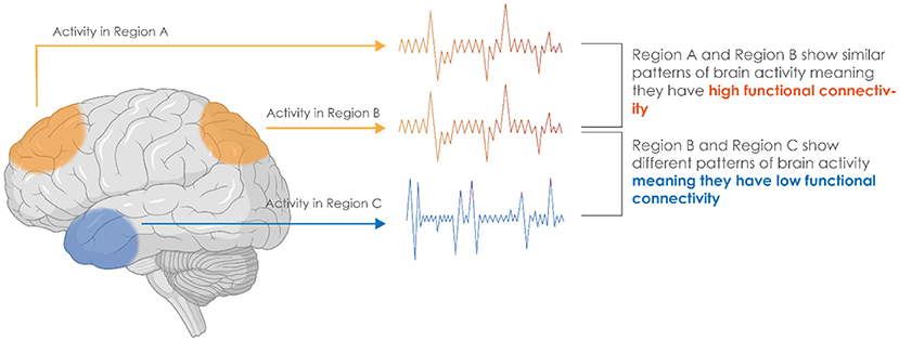 Figure 1 - Brain regions and A and B (orange) show similar patterns of activity, so they can be said to have high positive functional connectivity.