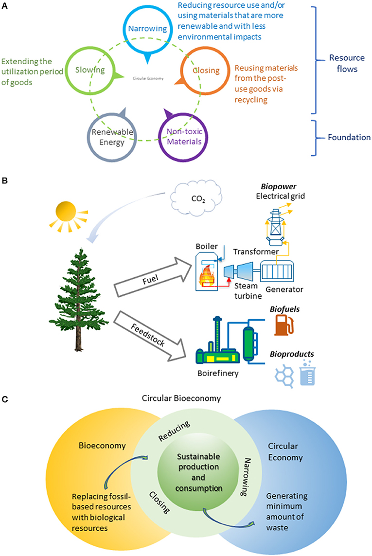 Overarching vision on the bio-economy needed' - Agro & Chemistry