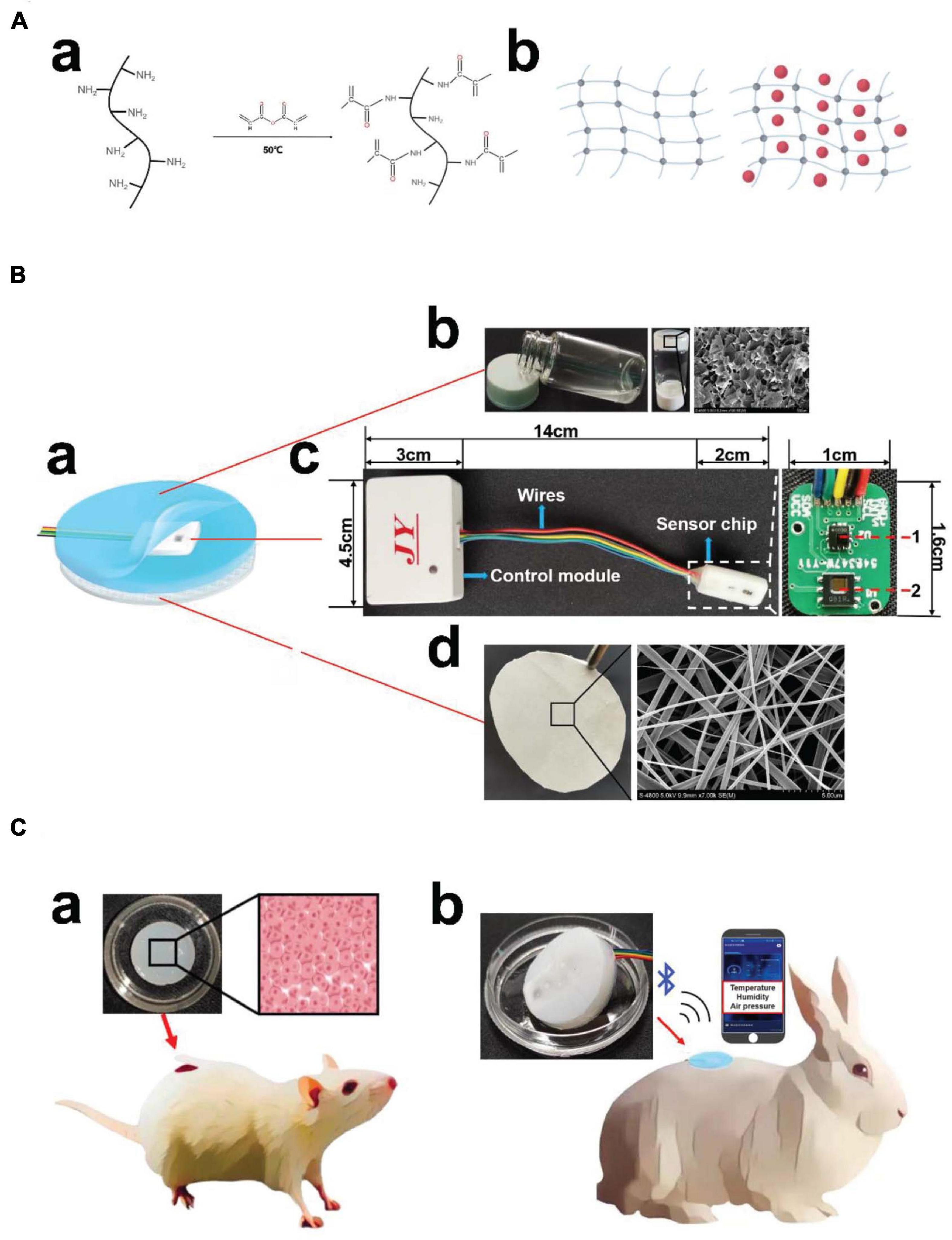 Wound Dressing: From Nanomaterials to Diagnostic Dressings and Healing  Evaluations