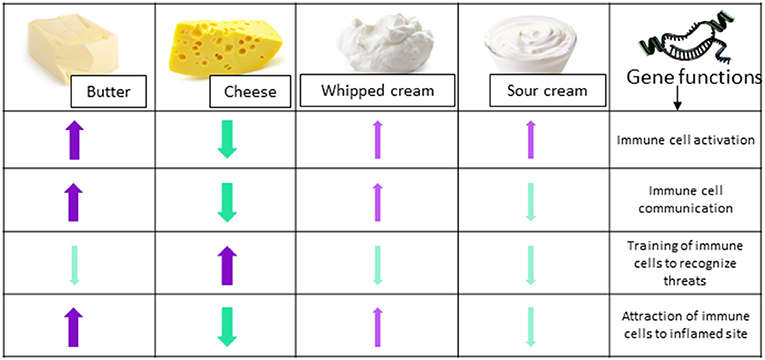 Figure 2 - Changes in mRNA levels after eating the four meals are shown with colored arrows.