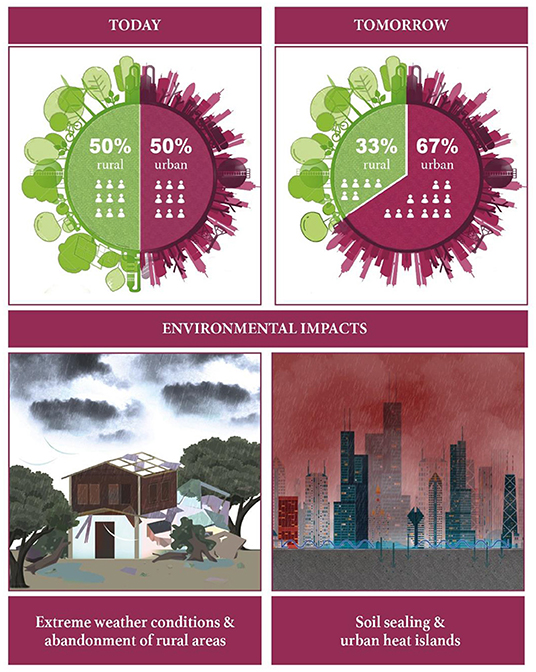 Figure 2 - The urban ecosystem.