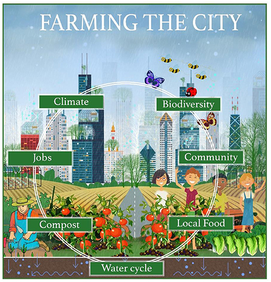Figure 3 - Urban agriculture has many benefits for the climate, for city-dwelling people, and for the local ecosystem.