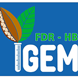 FDR-HB_Peru iGEM Team