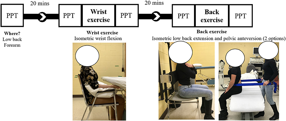 isometric exercises for forearms