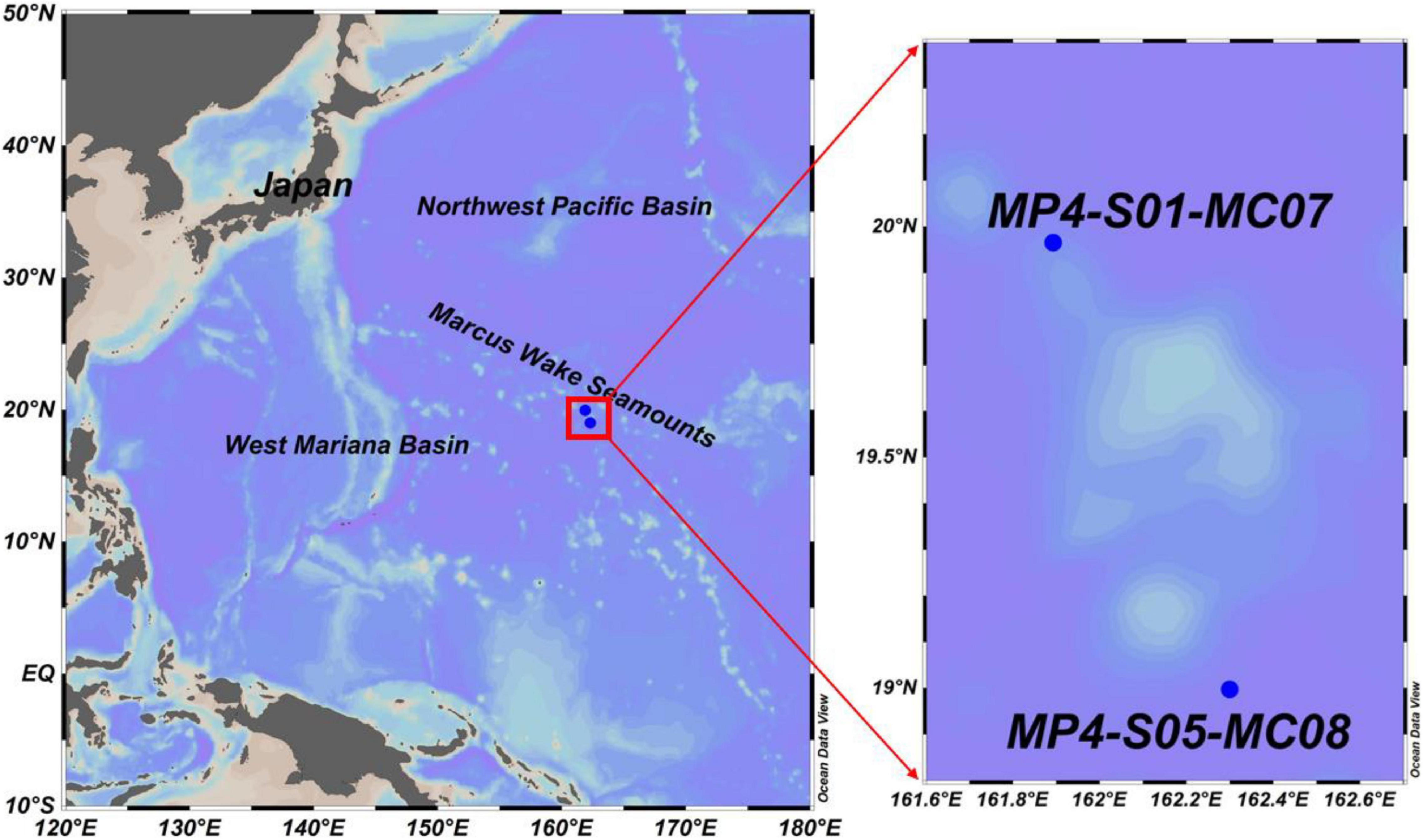 Frontiers | 210Pb-Derived Bioturbation Rates in Sediments Around