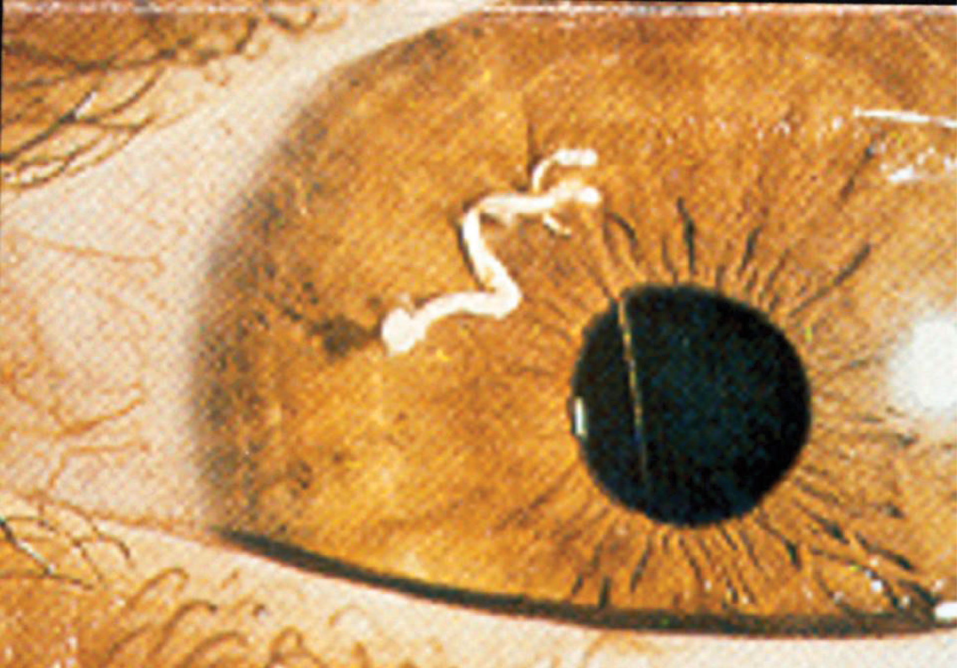www.frontiersin.org