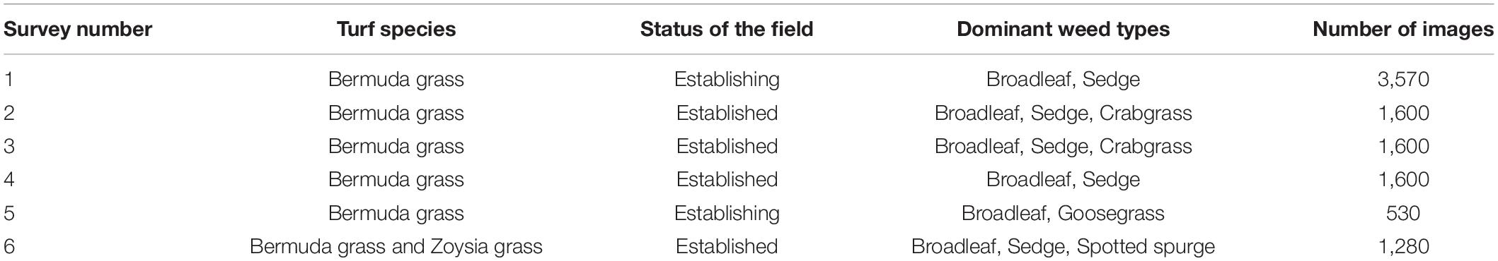 www.frontiersin.org
