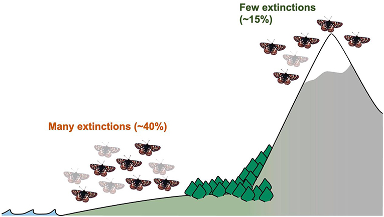 Figure 2 - Edith’s checkerspot butterfly lives in many habitats, from the seashore to the highest peaks of the Sierra Nevada mountains of California.