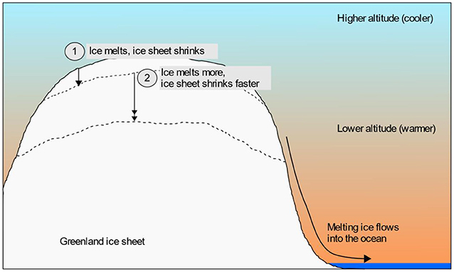 איור 2 - ההימסות של יריעת הקרח בגרינלנד היא דוגמה ללולאת היזון חוזר מחזקת.