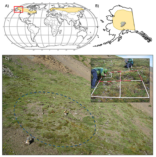 Figure 1 - (A) This map shows the approximate location of the subarctic climate zone in yellow.