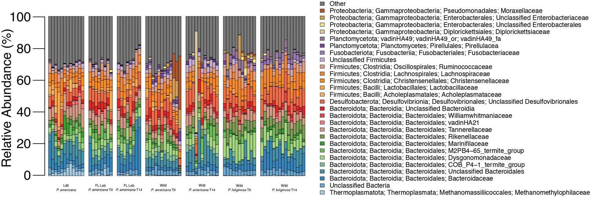 Frontiers  The Axenic and Gnotobiotic Mosquito: Emerging Models for  Microbiome Host Interactions