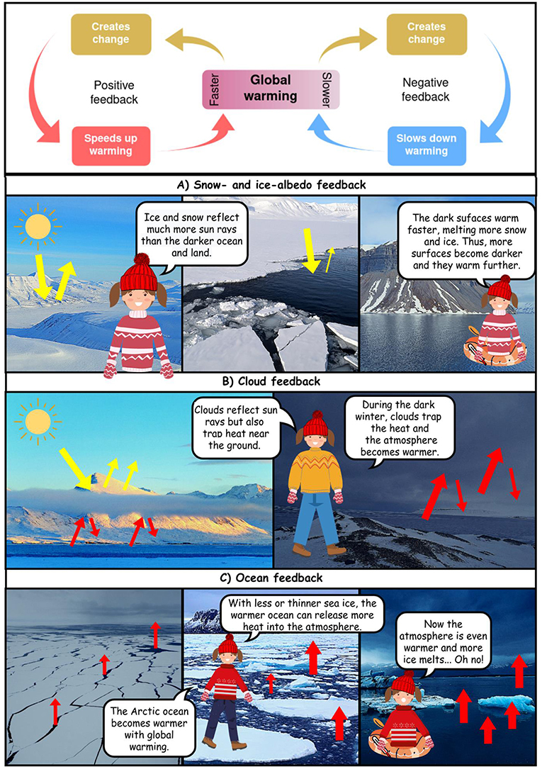 Figure 3 - (TOP panel) Negative and positive climate feedback loops.
