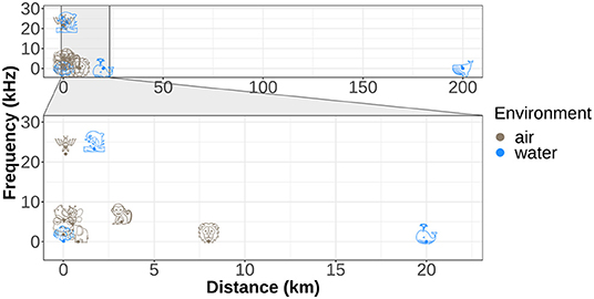 Figure 1 - Animal species produce a wide variety of sounds.
