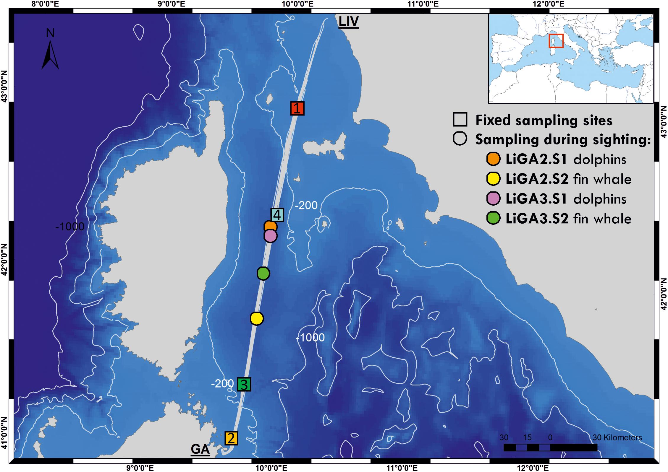 Frontiers Ferries and Environmental DNA Underway Sampling From Commercial Vessels Provides New Opportunities for Systematic Genetic Surveys of Marine Biodiversity photo