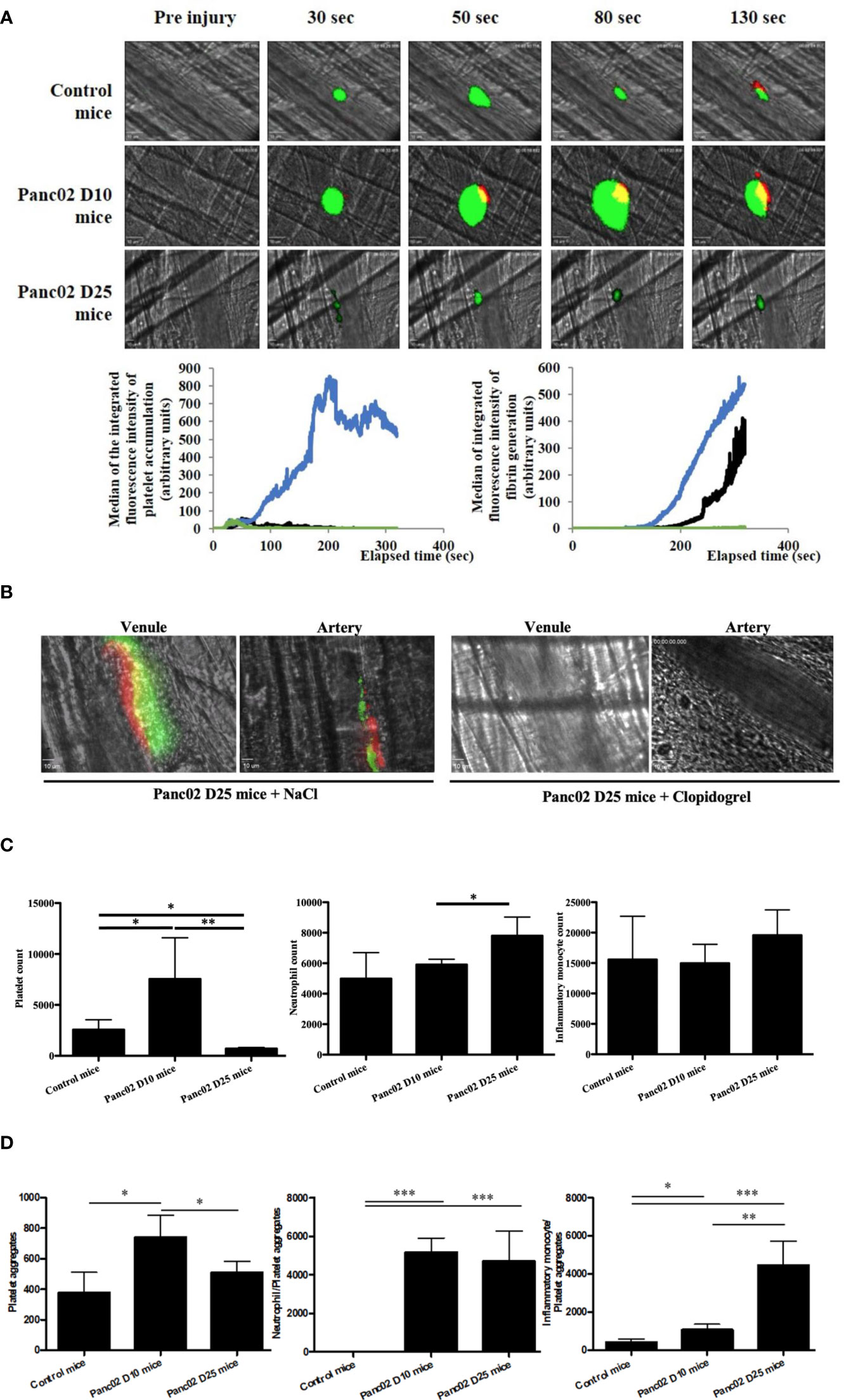 Frontiers  P2RY12-Inhibitors Reduce Cancer-Associated Thrombosis and Tumor  Growth in Pancreatic Cancers