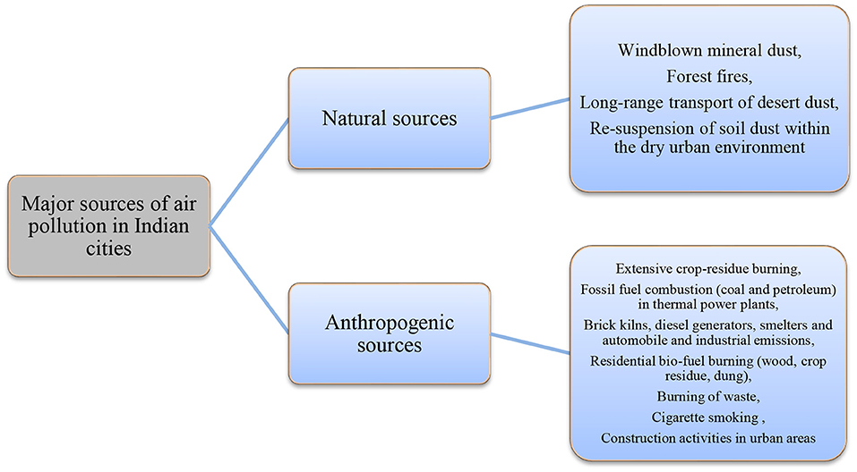 Sources, Composition, and Mixing State of Submicron Particulates over the  Central Indo-Gangetic Plain