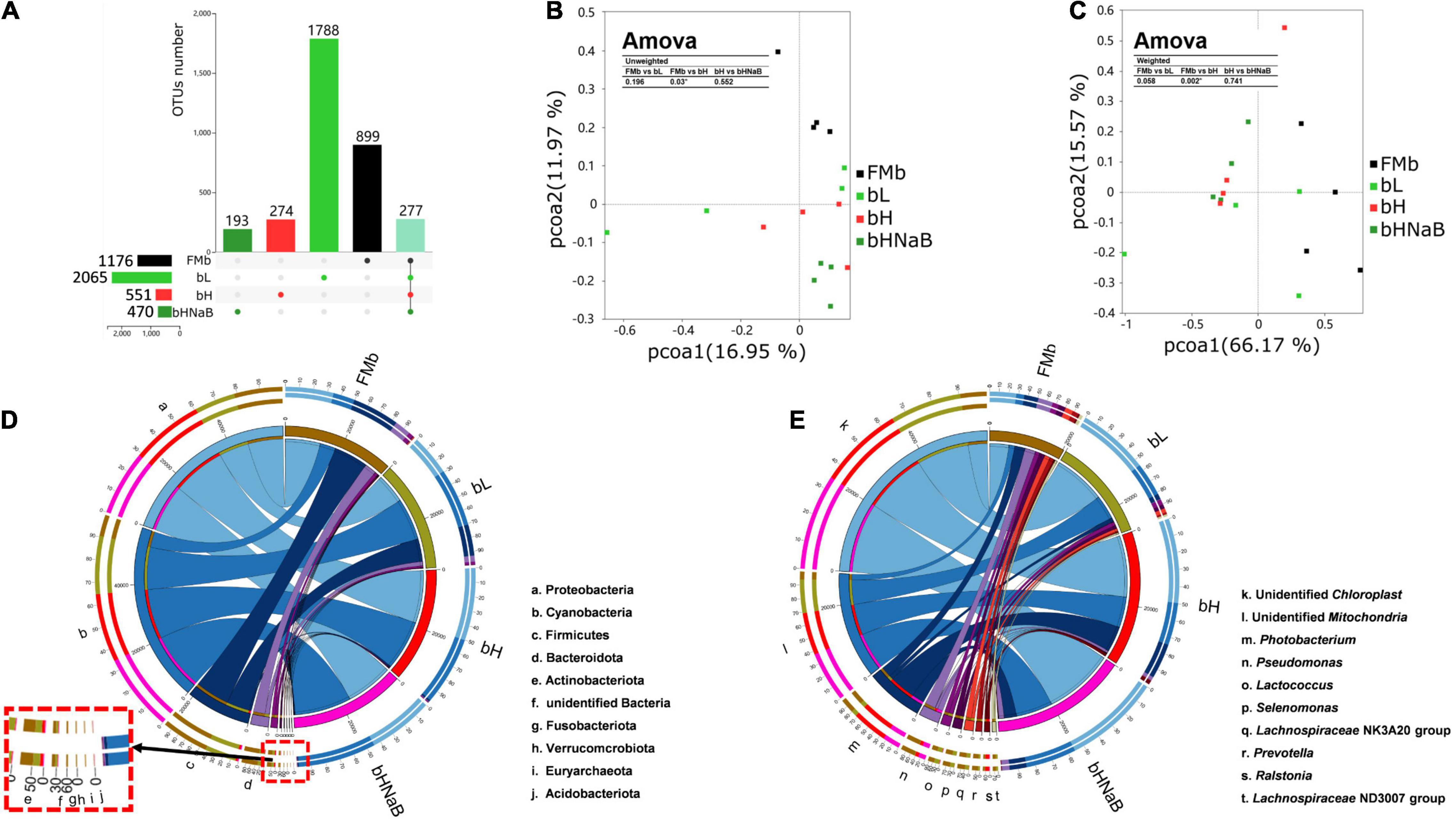 Frontiers | Dynamic Alterations of the Distal Intestinal