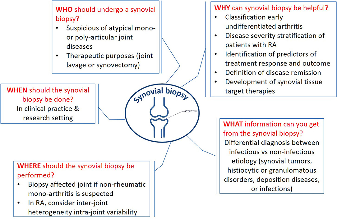 Differential diagnosis: Definition, examples, and more