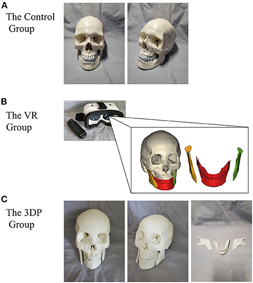 www.frontiersin.org