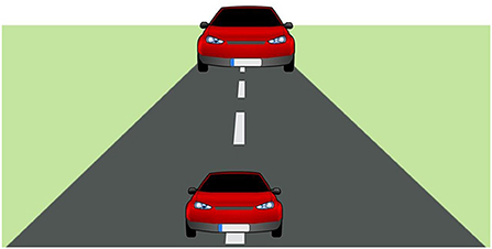 Figure 1 - Visual illusion.