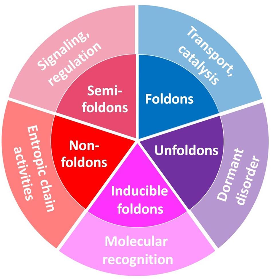 www.frontiersin.org