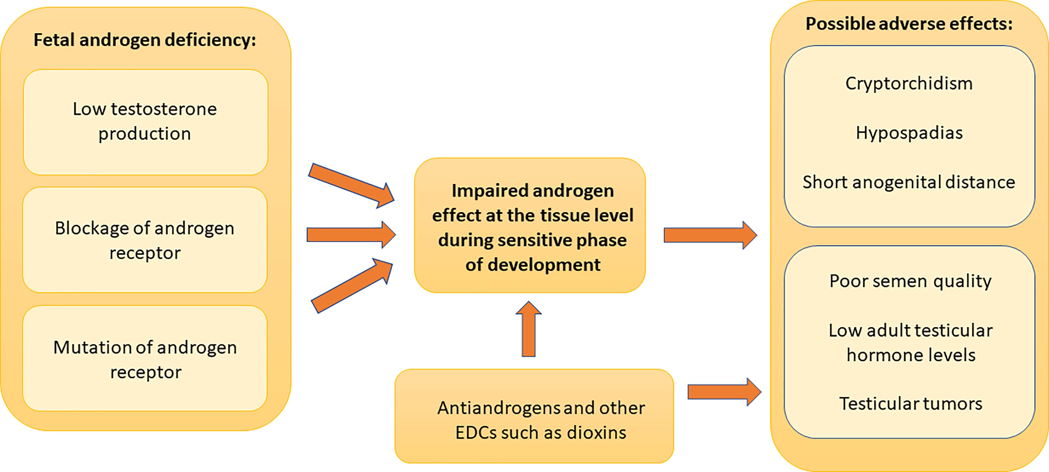 Full article: Impact of benzophenone-3 on the integument and gills