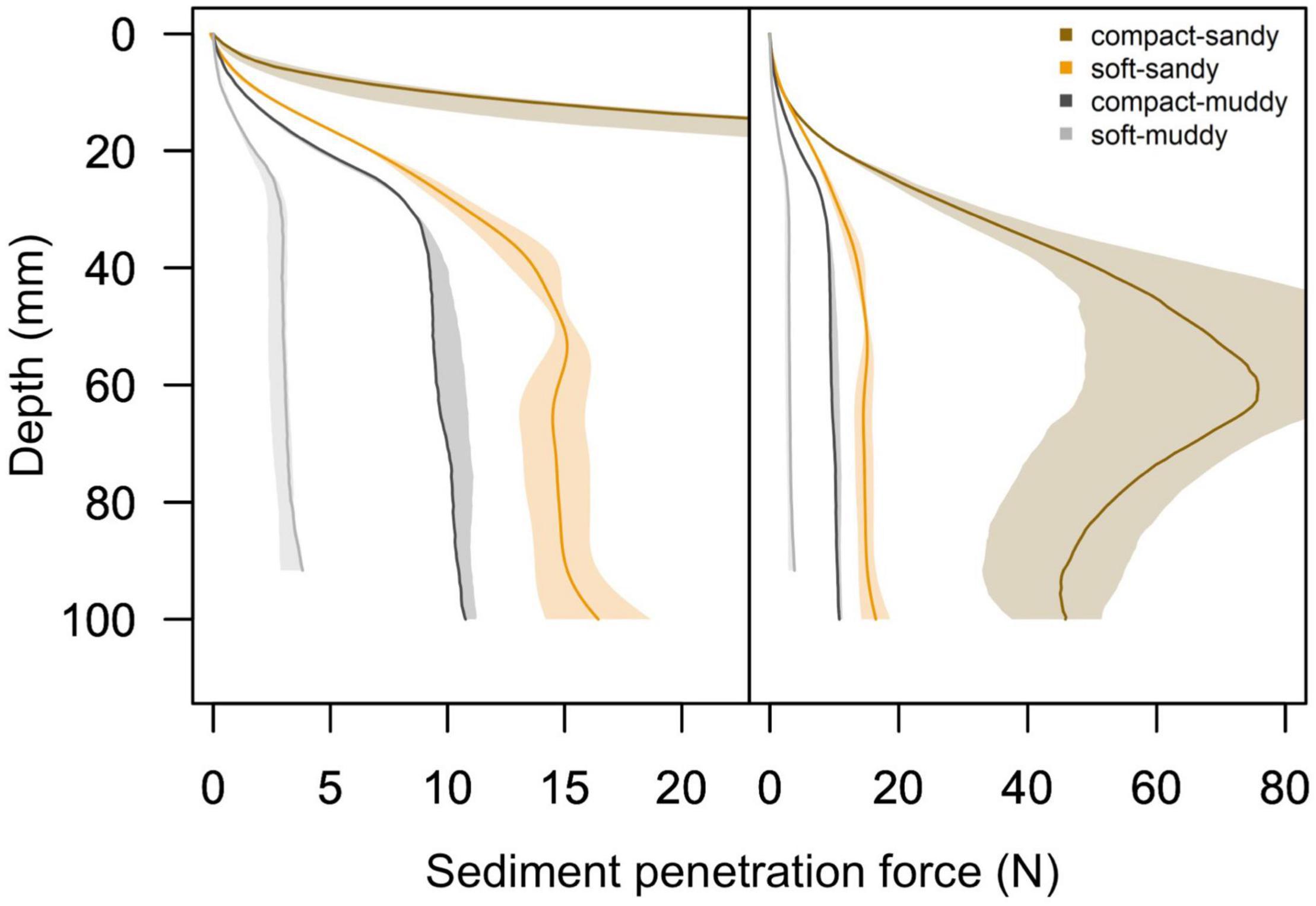 Frontiers  Sediment Bulk Density Effects on Benthic Macrofauna Burrowing  and Bioturbation Behavior