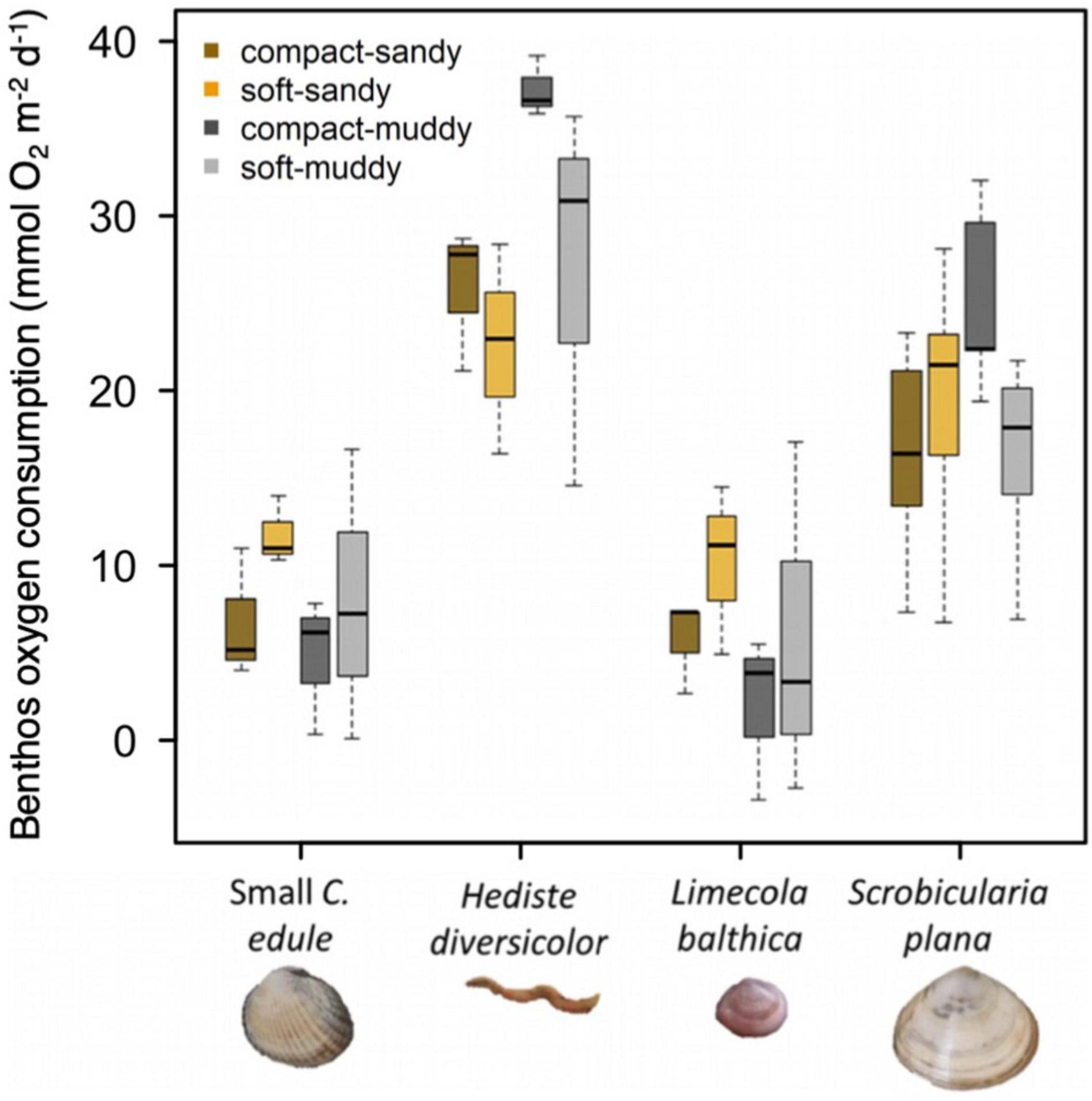 Frontiers  Sediment Bulk Density Effects on Benthic Macrofauna Burrowing  and Bioturbation Behavior