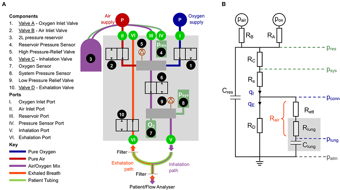 Figure 1. (A) Schematic of the proposed design. (B) Simplified lumped parameter model of the system. Pressures: reservoir pressure (pres), system pressure (psys), pressure at the patient connector (pconn), pressure in the distal lungs (plung). Green indicates measured and blue indicates calculated. Flow rates: qI, inhaled flow, qE, exhaled flow. The resistances represent combined influence of multiple components: RA, oxygen port connections and Valve A; RB, air port connections and Valve B; RC pneumatic pathways between the reservoir and downstream manifold; RD, all pneumatic components in the exhalation pathway; Rs, pneumatic components downstream of psys; Rett, endotracheal tube; Rlung, resistance in the lung, predominantly the upper airways; Rair, combination of Rett and Rlung, used to estimate plung.