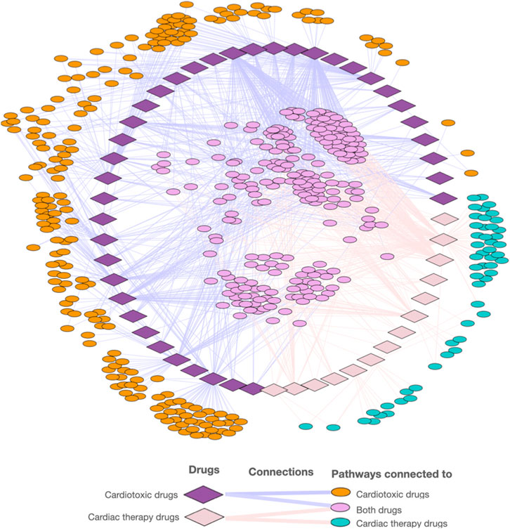 Toxicity — Science Learning Hub