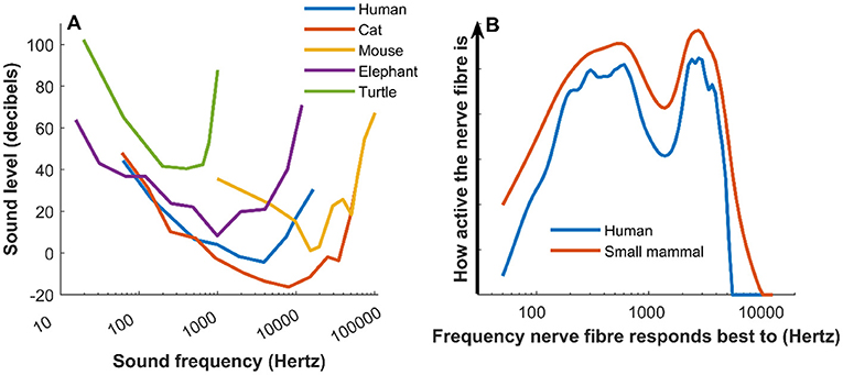 The Effects of Sound Frequency on Human Psychology