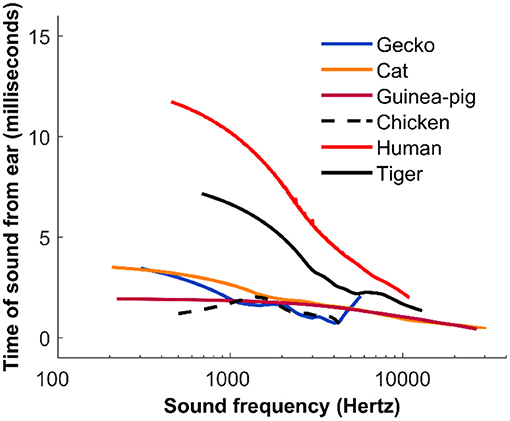 Figure 3 - Measurements from the sounds (otoacoustic emissions) coming out of the ears of various species.