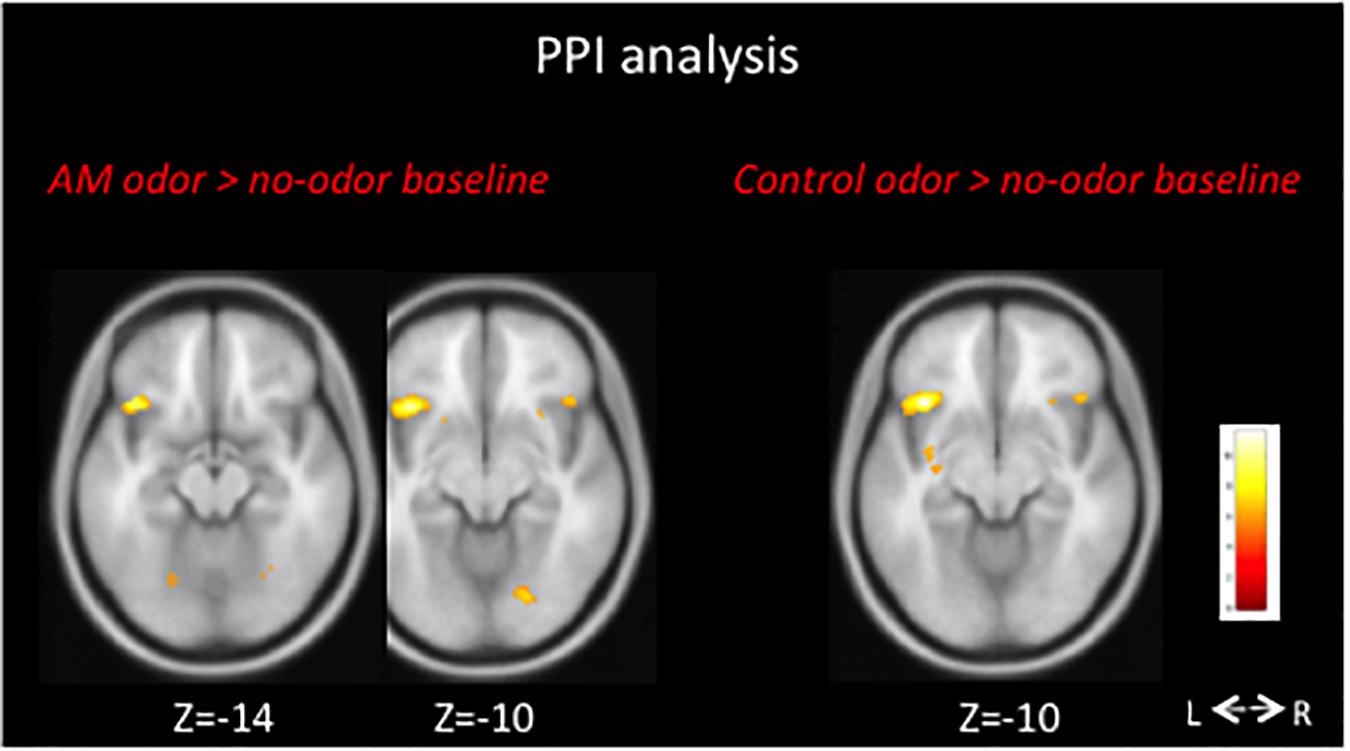 How scent, emotion, and memory are intertwined — and exploited