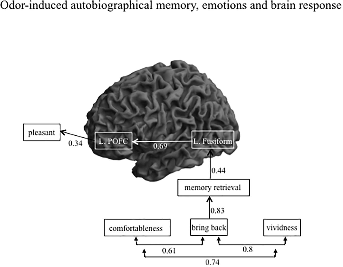 How scent, emotion, and memory are intertwined — and exploited — Harvard  Gazette