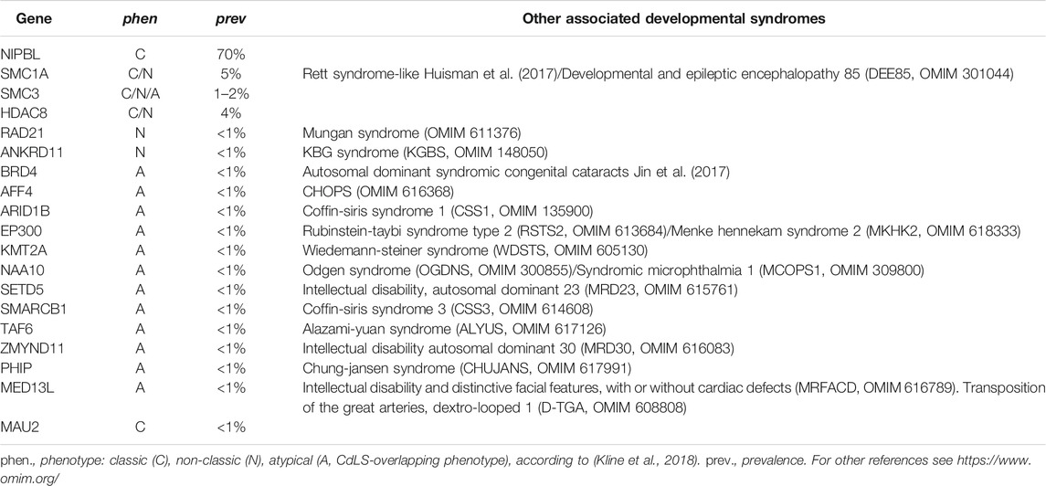 Frontiers  BETting on a Transcriptional Deficit as the Main Cause for  Cornelia de Lange Syndrome