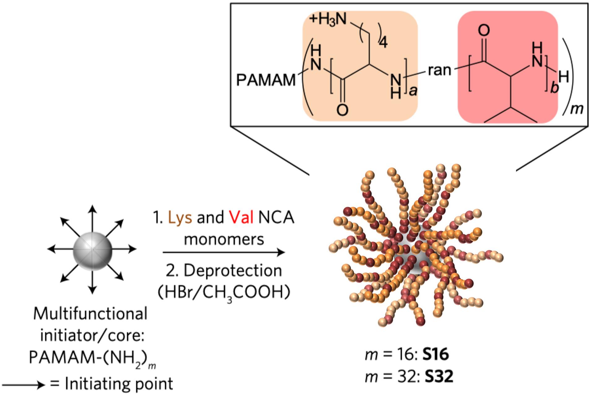 Synthetic peptides that form nanostructured micelles have potent antibiotic  and antibiofilm activity against polymicrobial infections