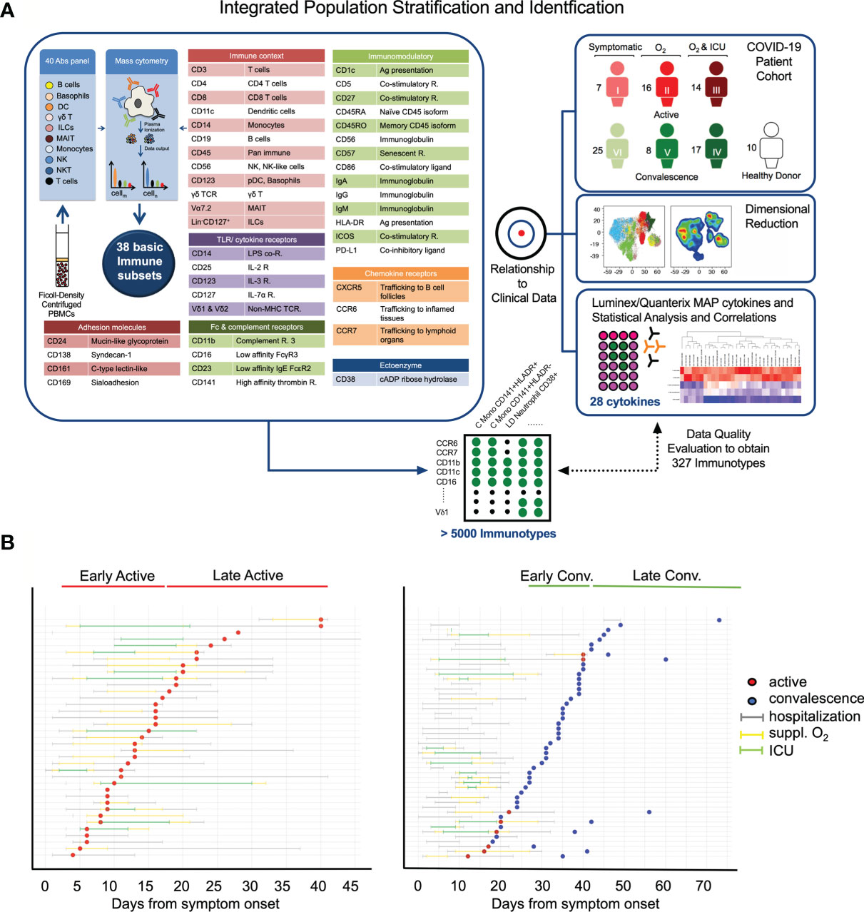 presentation analysis and interpretation of data about covid 19