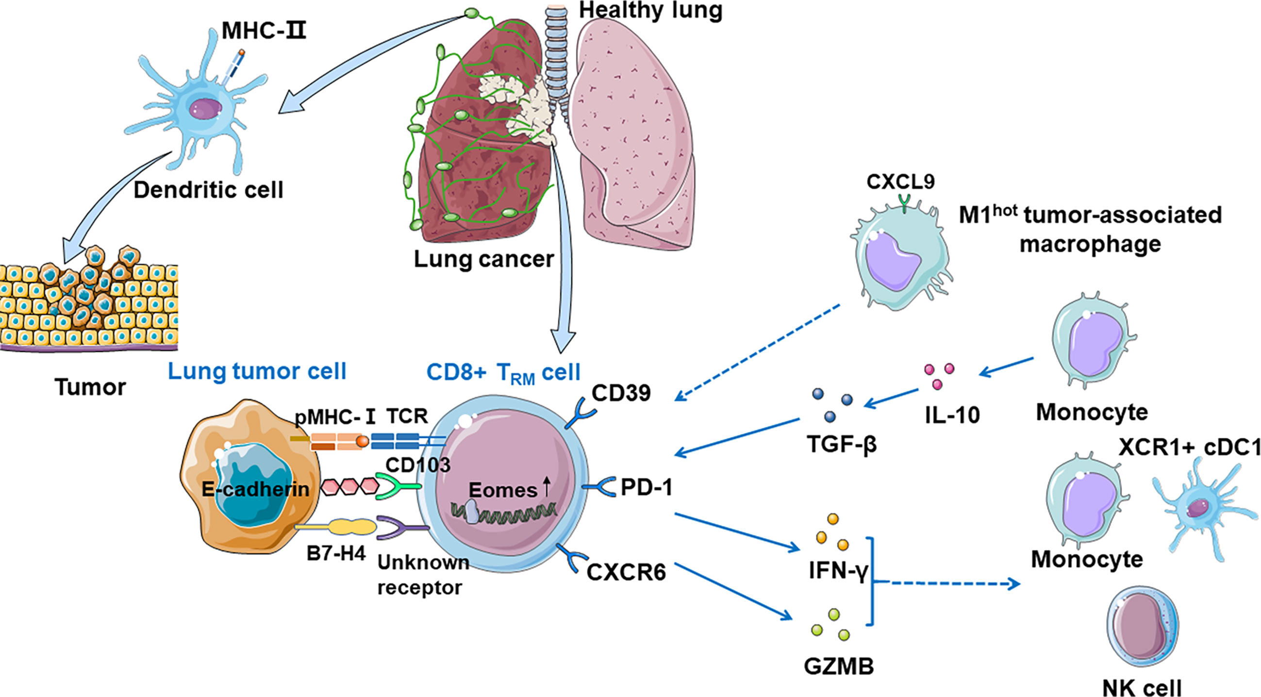 Sufijo qué significa tumor