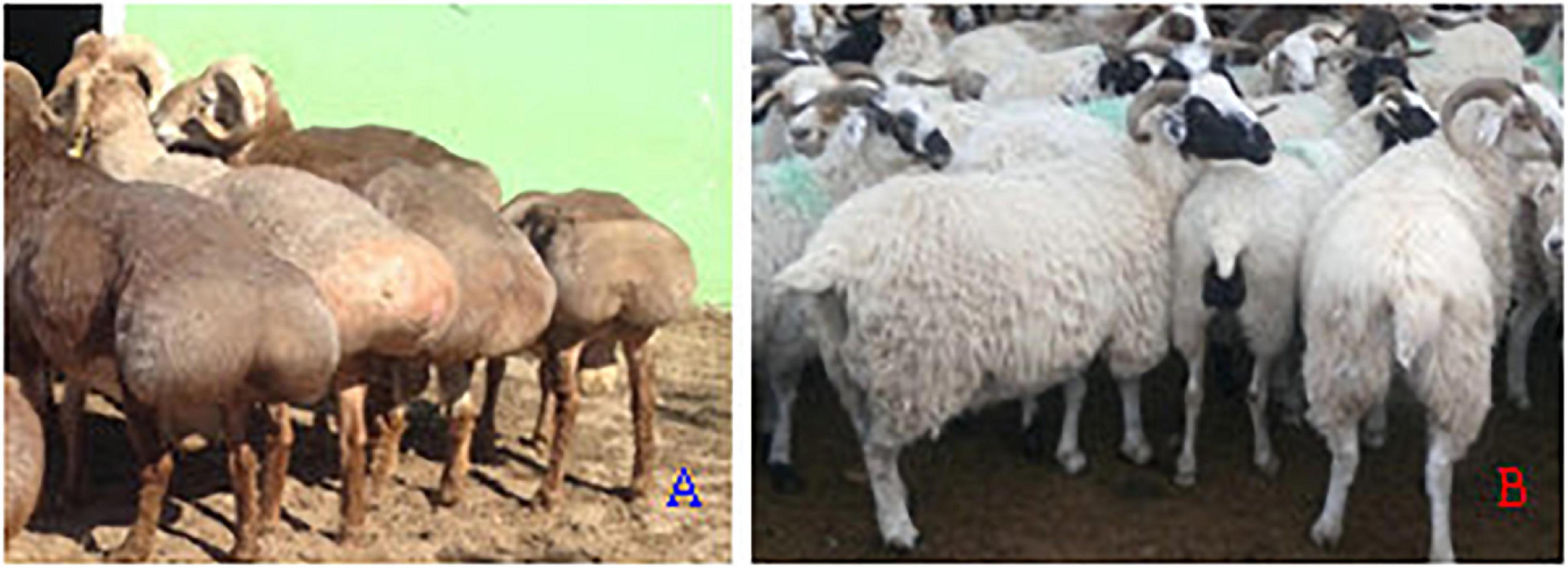 www.frontiersin.org