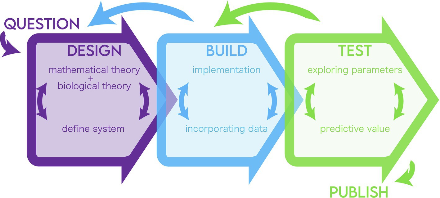 Bred vifte Grunde Spytte ud Frontiers | A Life Cycle for Modeling Biology at Different Scales